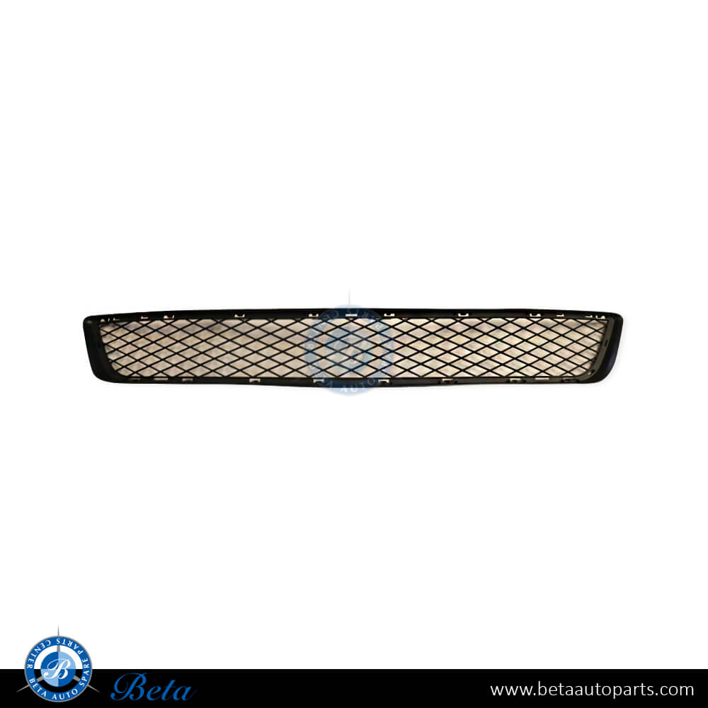 Front Bumper Lower Grille for BMW X5 E70 LCI 2011-2013 models, Part Number 51117222856 Front Bumper Lower Grille for BMW X5 E70 LCI 2011-2013 models, Part Number 51117222856